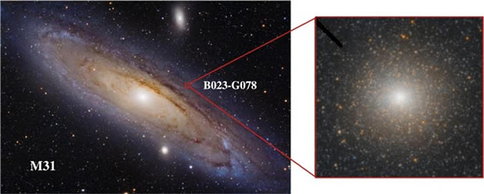 球状星团B023-G078中发现非同寻常的中等质量黑洞