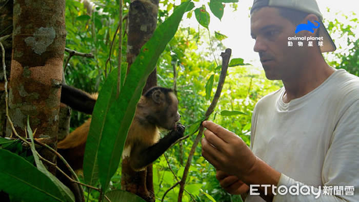动物星球频道《野生法兰克》冒险家Frank Cuesta独自穿越亚马逊雨林