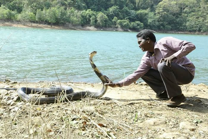 ӡ�ȡ����̸߽�������ʲVava Sureshץ���۾�����ʱ������ҧ��ɥ��