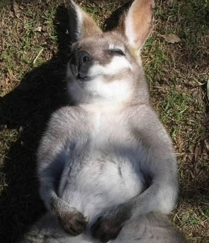 ���������ں󣬾���һ����������ľ������ͷ��˯��ģ�����ȡ�