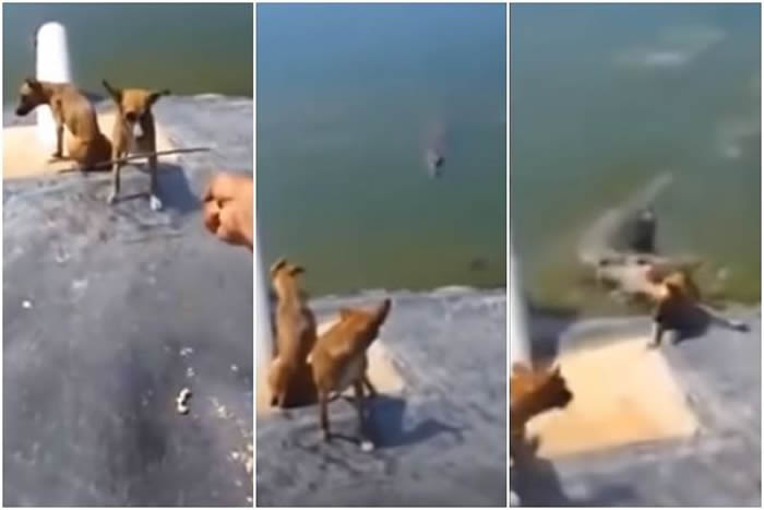 YouTube��һ������������������ʳ�Ĳ���ӰƬ������ý��ע