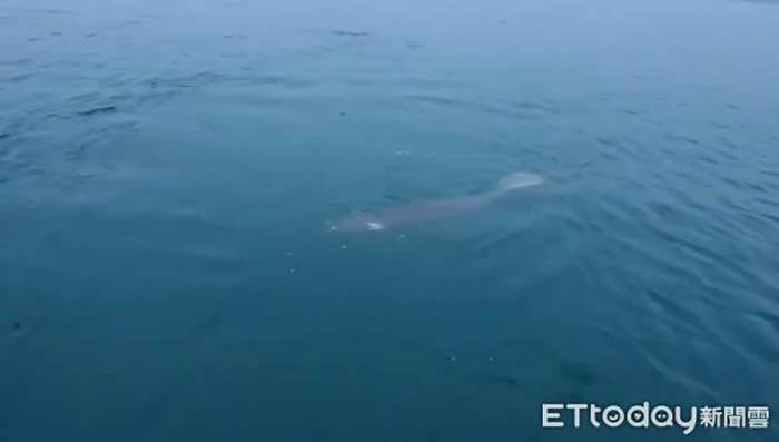 ̨������̶��������Ŀ��2.5�׳��޴�ˮ�֡� ר���Ʋ����������