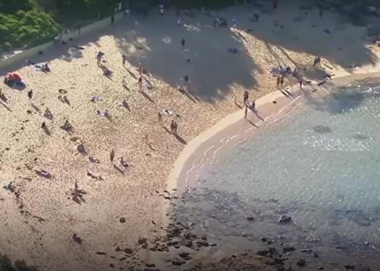 鲨鱼闯澳洲悉尼沙滩咬死人 近60年来首次