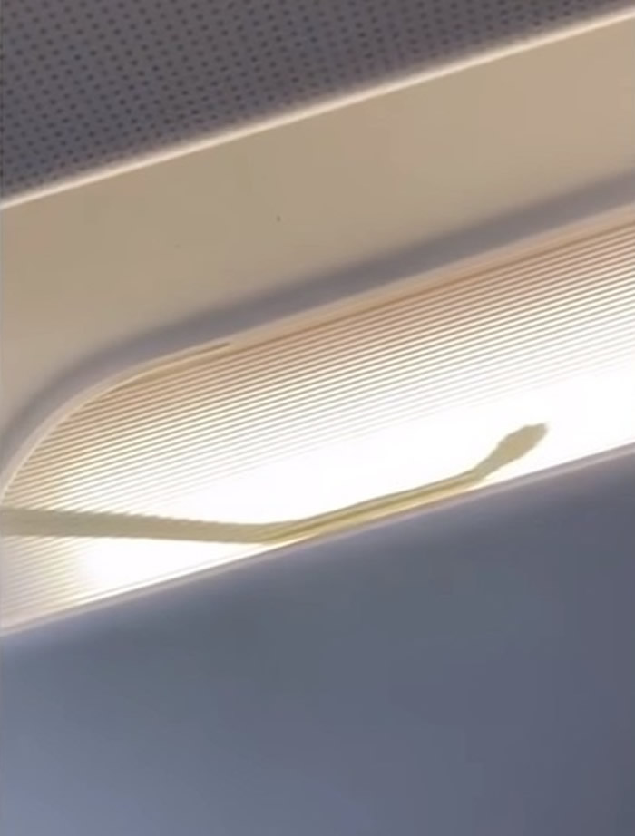 ���������������޺��չ�˾�ɼ�¡�·��������Ĺ��ں�����յ�������Ӱ