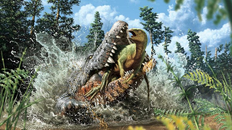 ʿֻԿ㻯ʯConfractosuchus sauroktonos