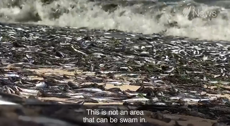 ��ǧ�����㱻����������̲