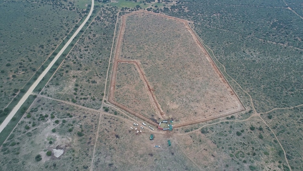 2022212գױǵżԼ޲һλ˻λ棺22ͷҰ󱻹ũȴڡ PHOTOGRAPH COURTE