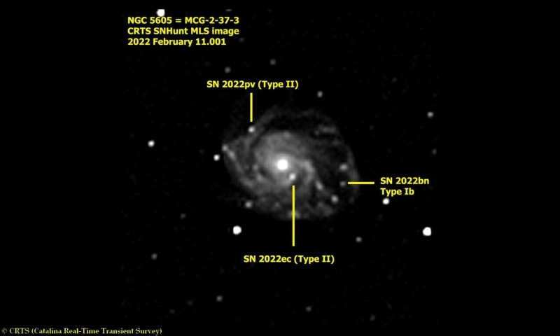 星系NGC5605里同时发生三处超新星爆发