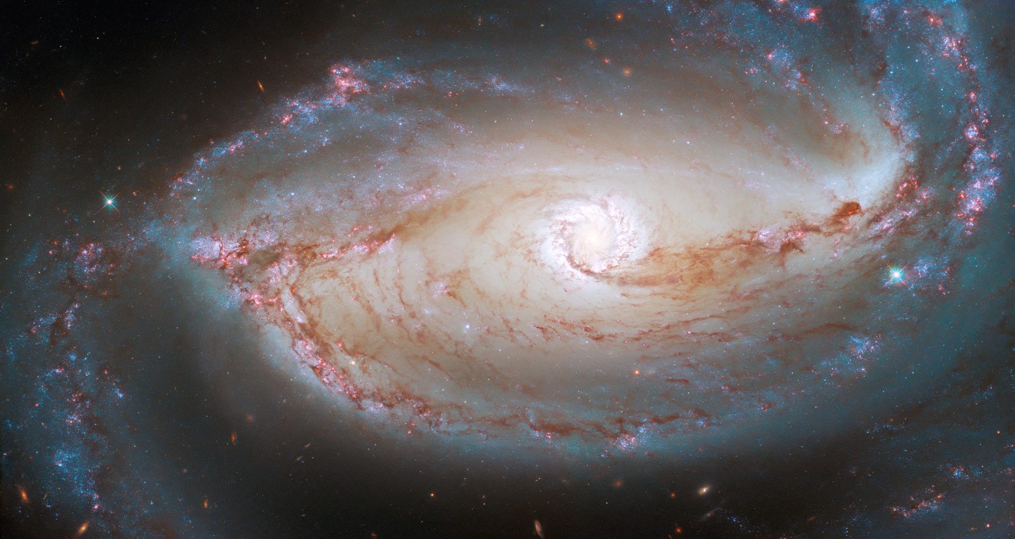 ɿ˹ϵNGC 1097