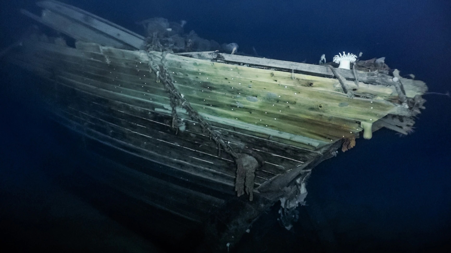 坚忍号的艏右舷就躺在威德尔海深处。上方的海冰危险又变幻莫测，因此目前关于那片地区的资料非常少。 VIDEO FRAME BY FALKLANDS MARITIM