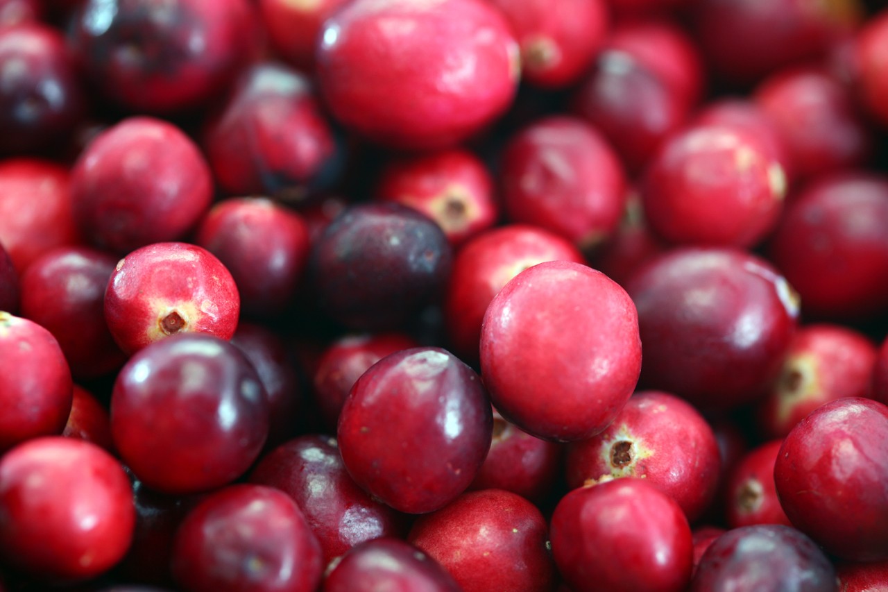 蔓越莓中的天然化合物（多酚）可改善血管功能 降低心血管疾病风险