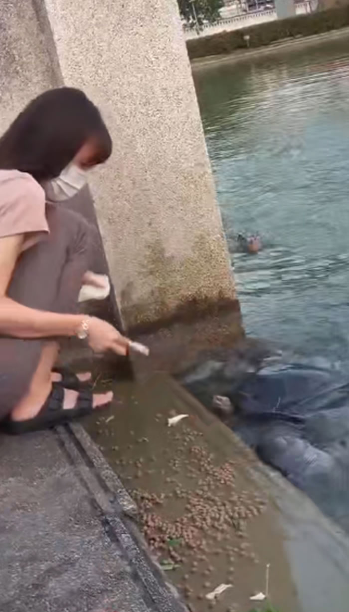 ̩Ůڹ԰ιڹ ͻȻӡˮ֡ʳ