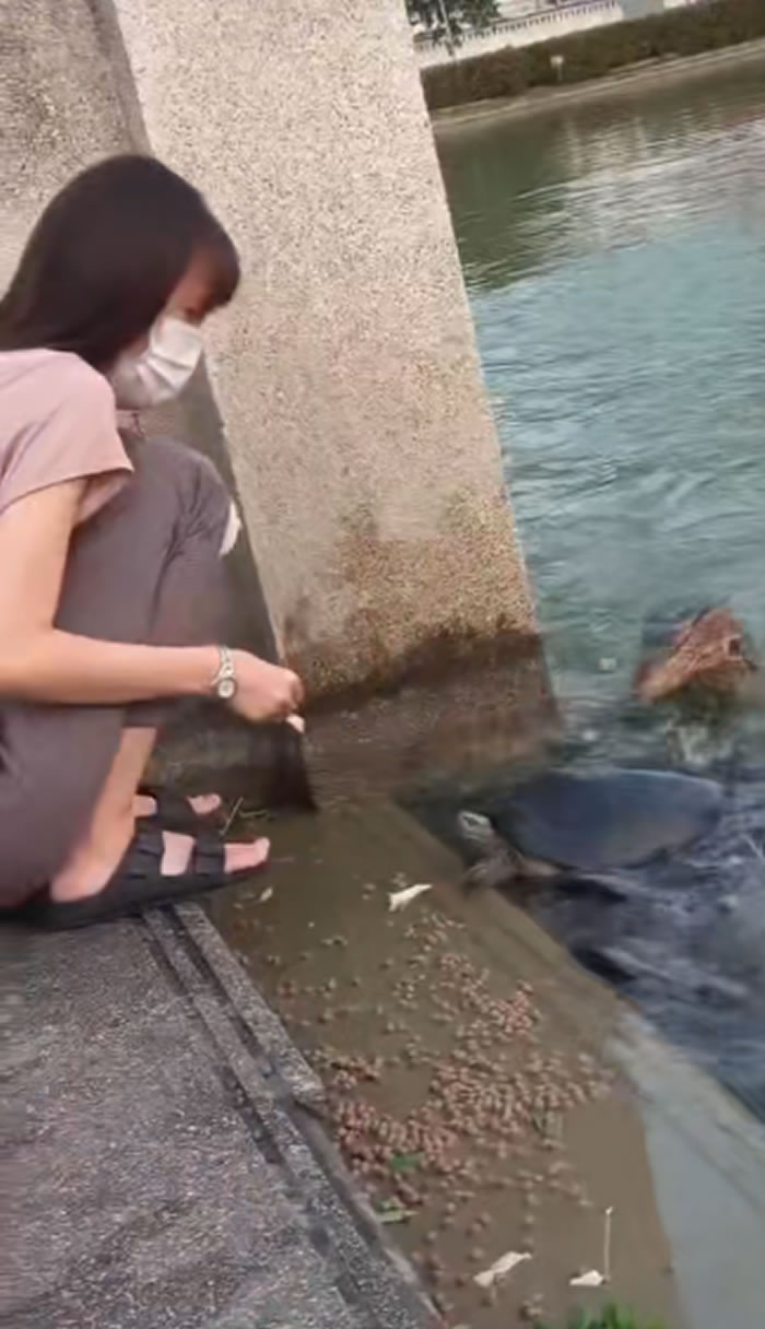 ̩Ůڹ԰ιڹ ͻȻӡˮ֡ʳ