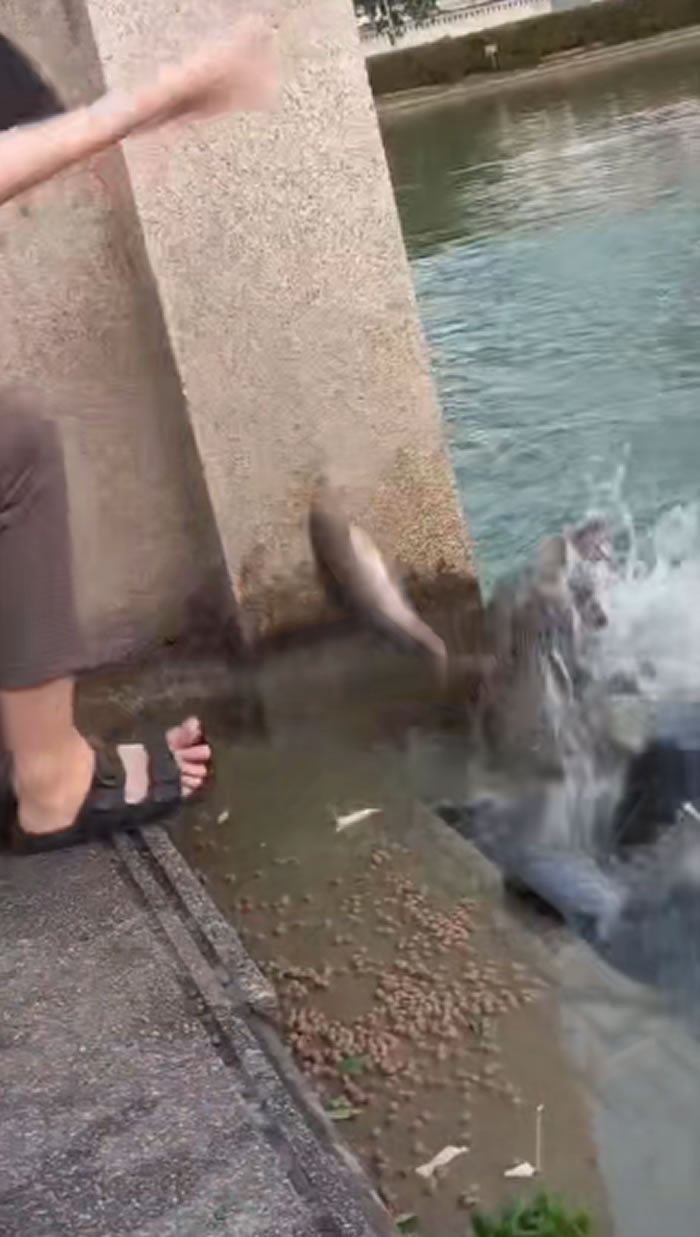 ̩Ůڹ԰ιڹ ͻȻӡˮ֡ʳ