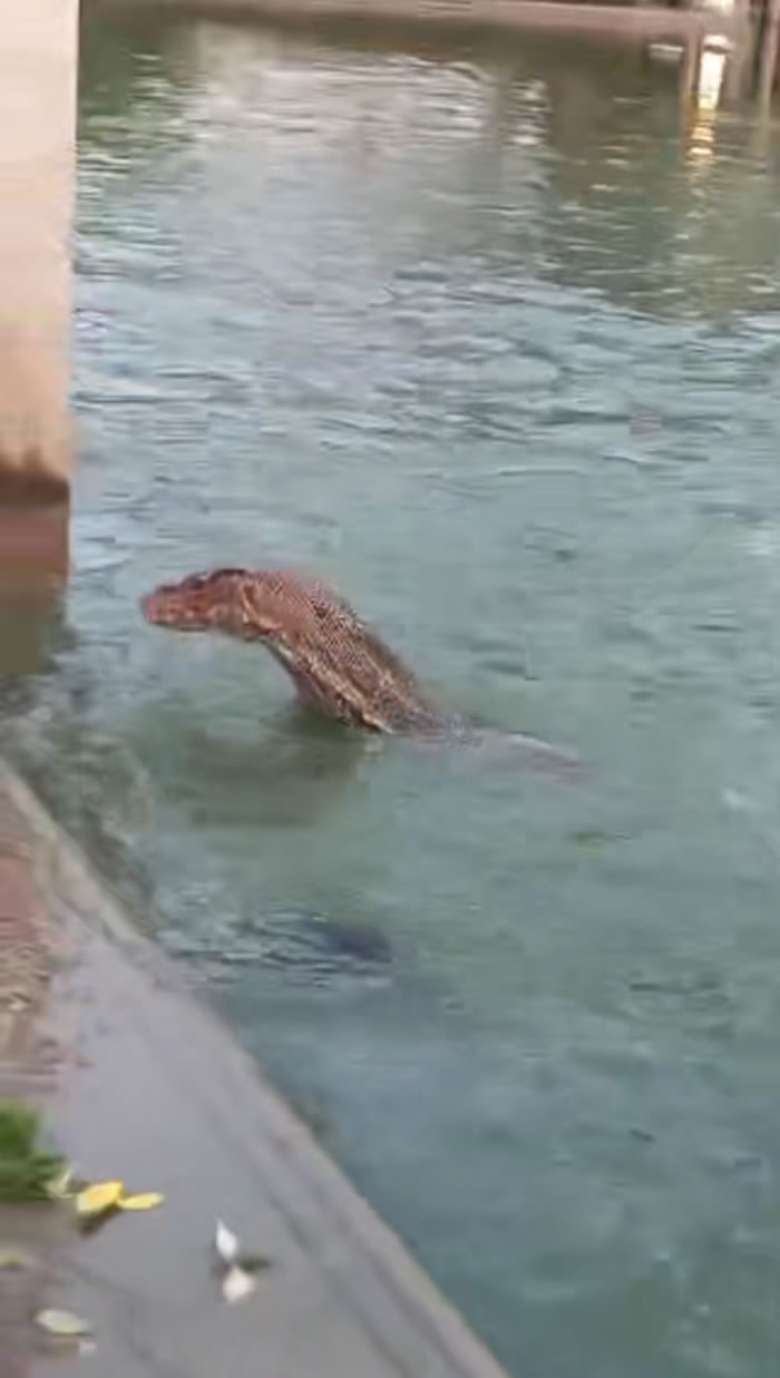 ̩Ůڹ԰ιڹ ͻȻӡˮ֡ʳ