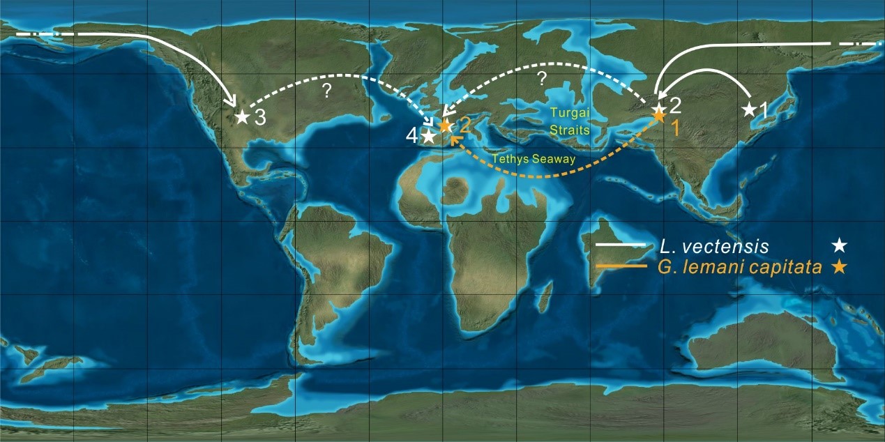 ѧ־׼ع廯ʯָʾֲȺԴ