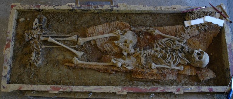 �¹�����˹-���ʿ˽�������ѧ�о�����ʾ���߶��˾�Ӣ��Դ֮�� ������ų���1400����