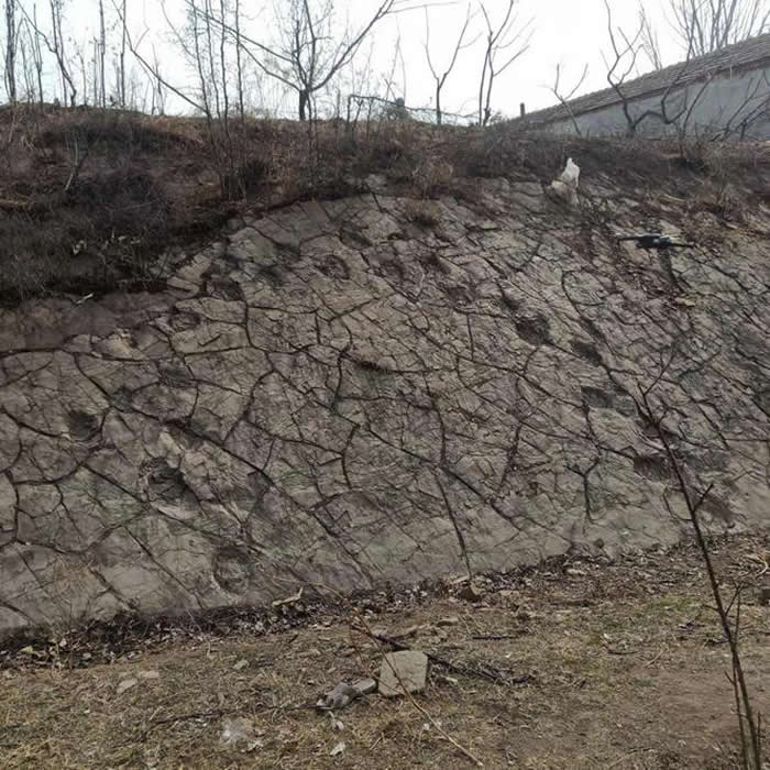 山东诸城:民间传说引出一座“中国龙城”