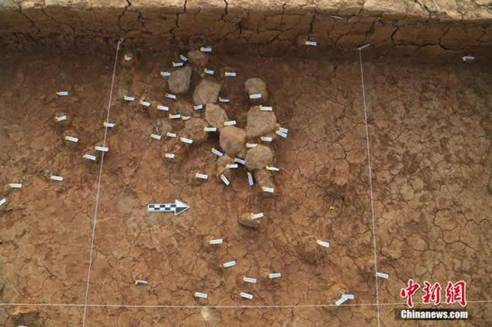 资料图：2021年3月24日在夜塬遗址拍摄的石制品密集分布状况。中新社发 陕西省考古研究院 供图
