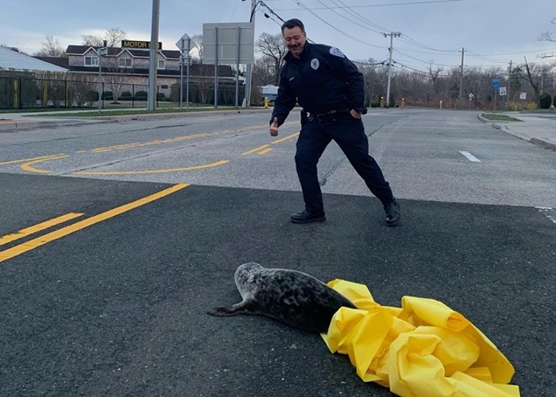 ����ŦԼ����ͣ����ӭ��������֮�͡���һֻδ����ۺ���