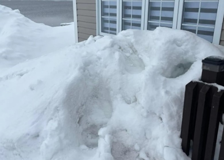 ôŦʡ뵺ͼ ѩ¾޴ӡ