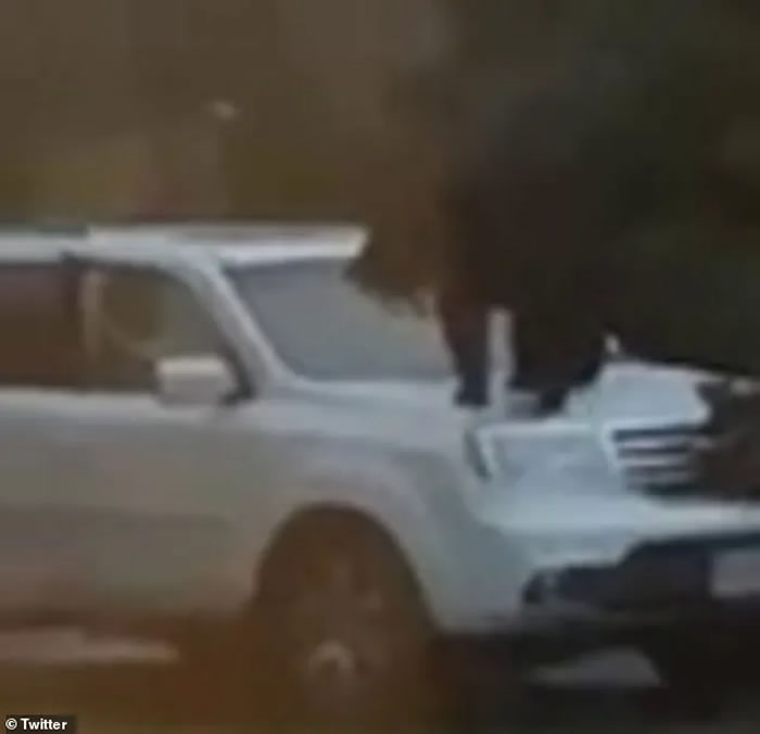 ������������������������ʲά�������𴲷�����ͷ���ܱ�����������