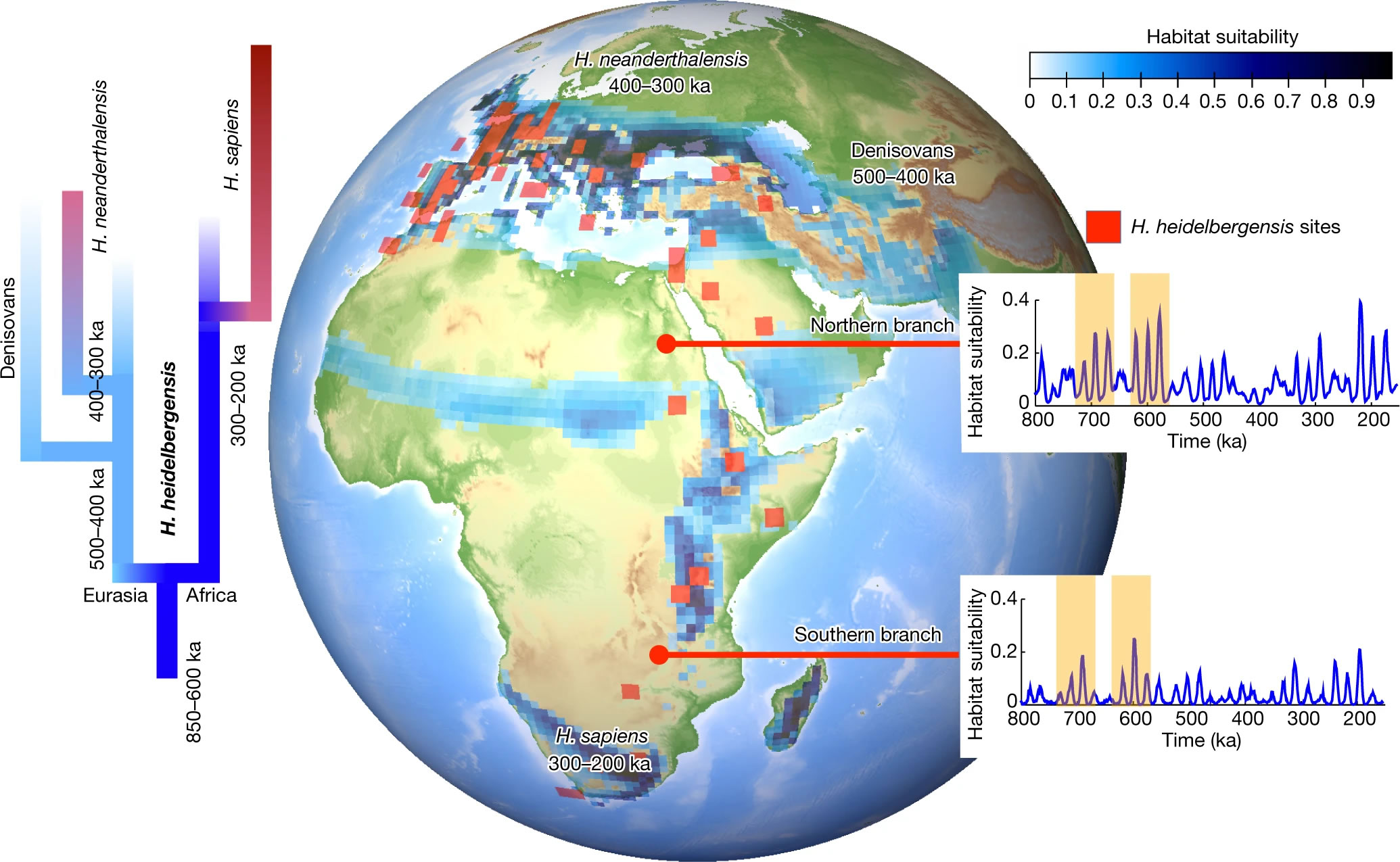 创纪录模拟揭示气候如何影响人类进化 非洲南部气候模式的变化可能促成了智人的崛起