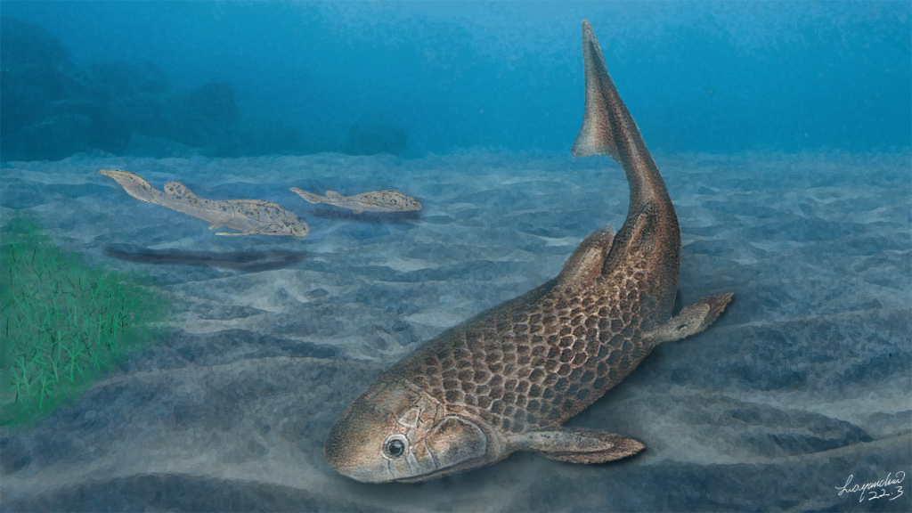 3.9亿年前肺鱼化石新属种“会泽滇双翼鱼”揭秘肺鱼“吃饭”新模式