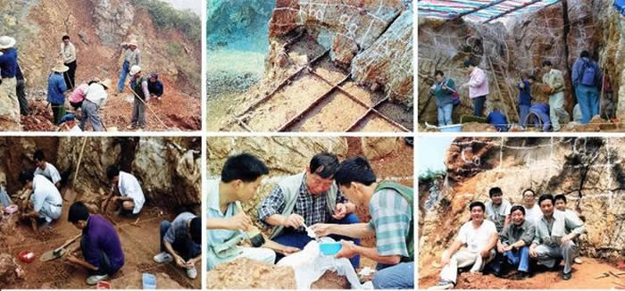 芜湖繁昌人字洞遗址：亚欧大陆最早的古人类驻足地