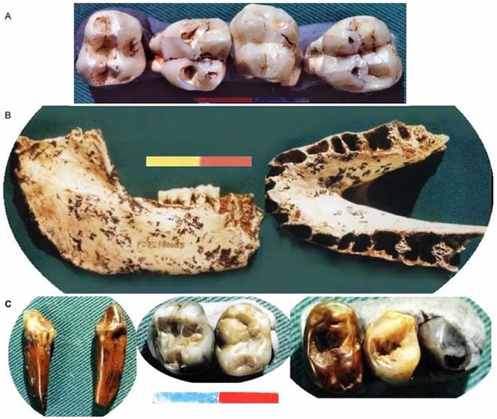 芜湖繁昌人字洞遗址:亚欧大陆最早的古人类驻足地