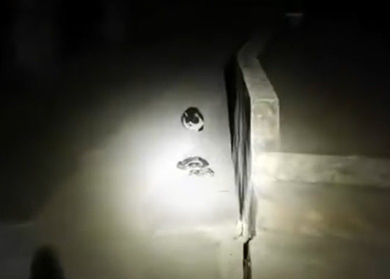 ����ʡ��ͨ��С��һ���˻��ߺ�һֻè����