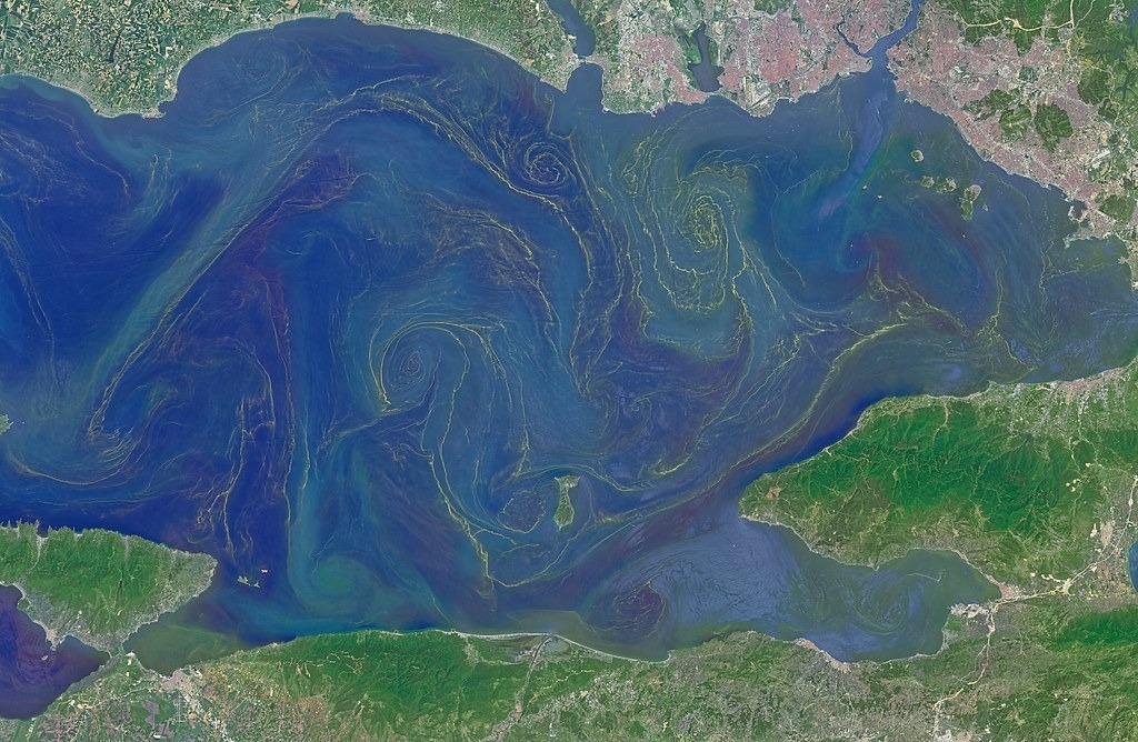 全球暖化正剧烈改变海洋生态 可能引发数千万年以来最严重的海洋物种大灭绝