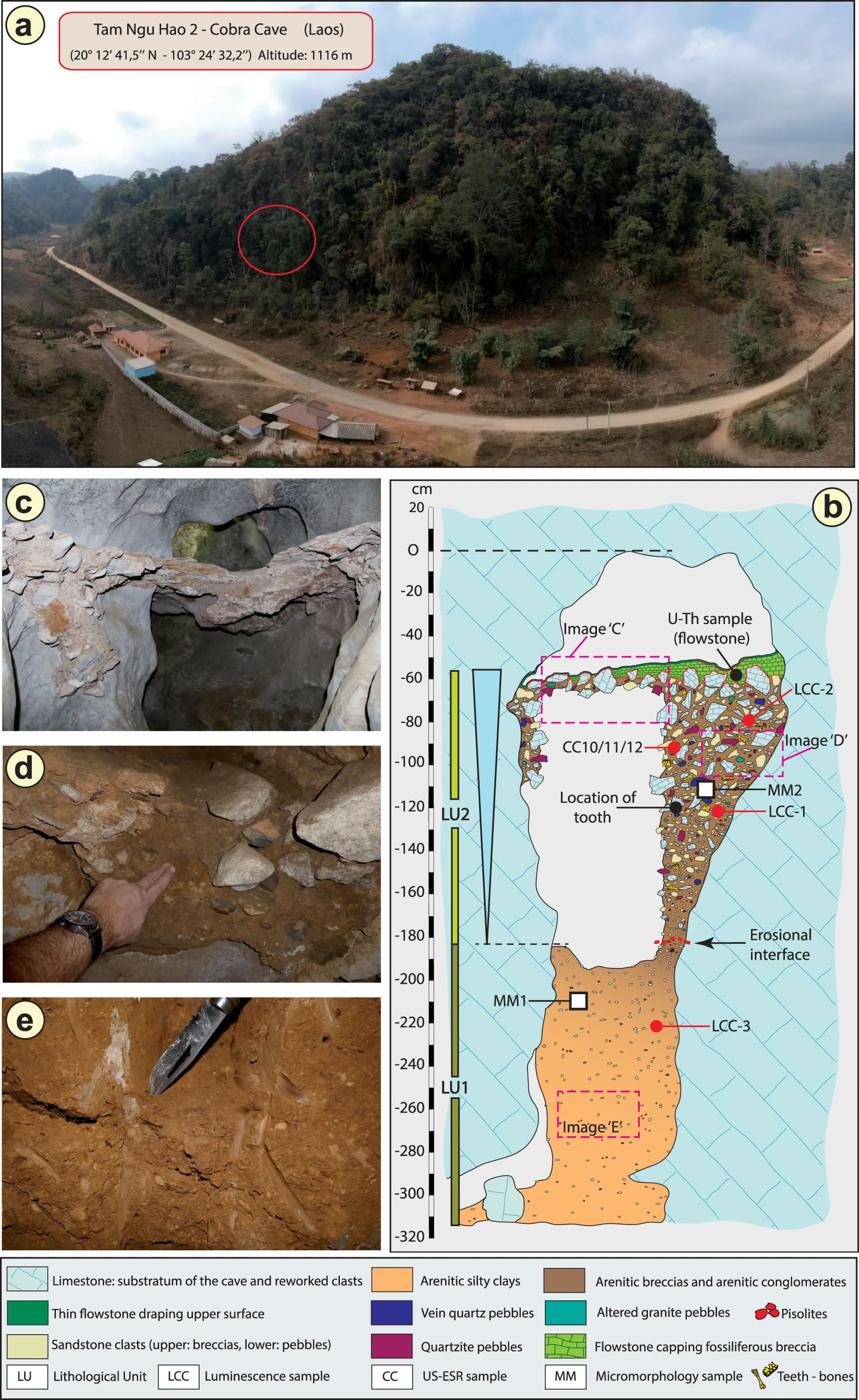 老挝Tam Ngu Hao 2洞穴发现更新世中期古人类臼齿 可能来自年轻的女性丹尼索瓦人
