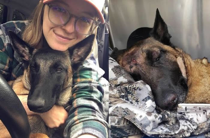 ���� ����ʨ ��Ȯ