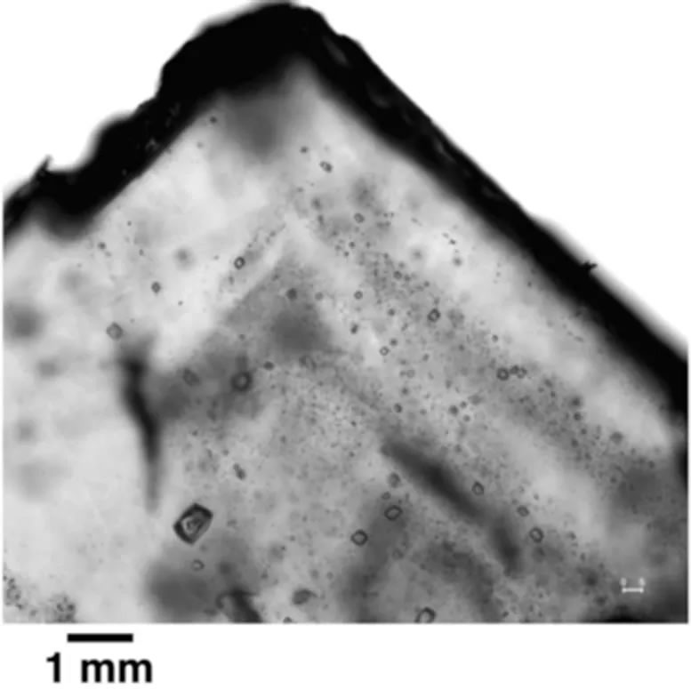澳大利亚中部的布朗岩层晶体中发现8.3亿年前微生物