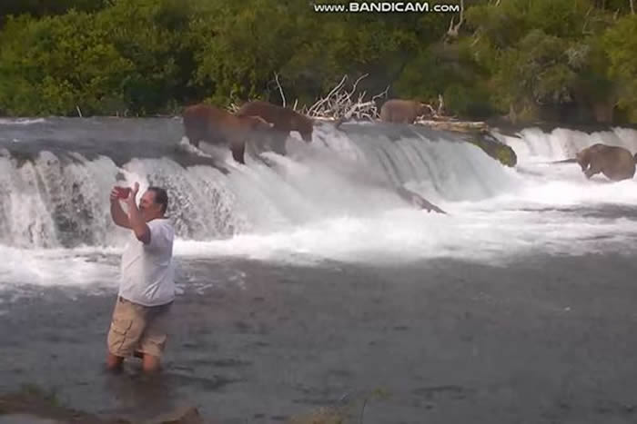美国阿拉斯加卡特迈国家公园3名游客酒后擅闯保护区涉水靠近正在捕鲑鱼的棕熊