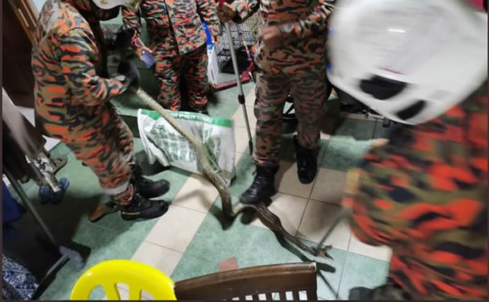 �������������ϲ���ʱͻȻ�о�ƨ��һ���ʹ �º�ץ��һ������