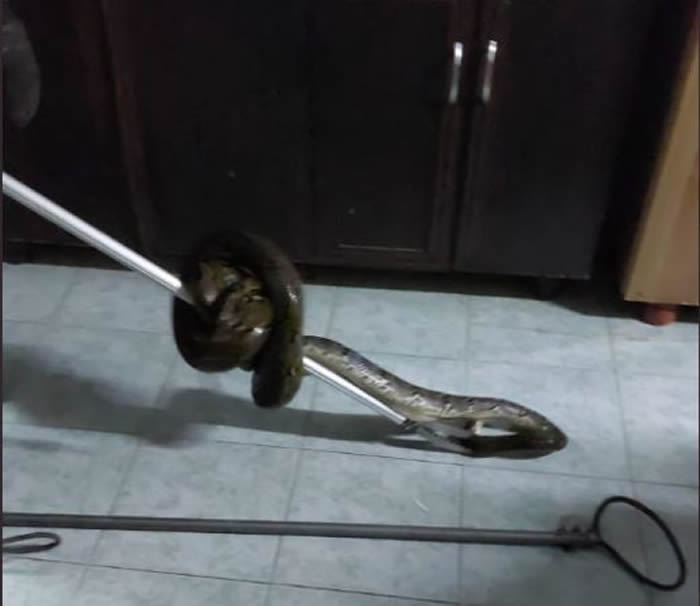 �������������ϲ���ʱͻȻ�о�ƨ��һ���ʹ �º�ץ��һ������