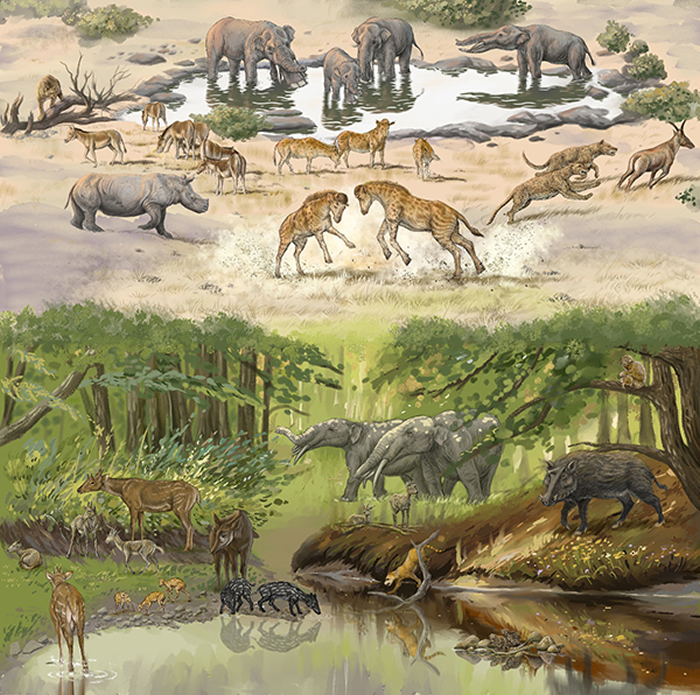 新疆准噶尔盆地中新世早期獬豸盘角鹿化石极大促进对长颈鹿长脖子演化的认识