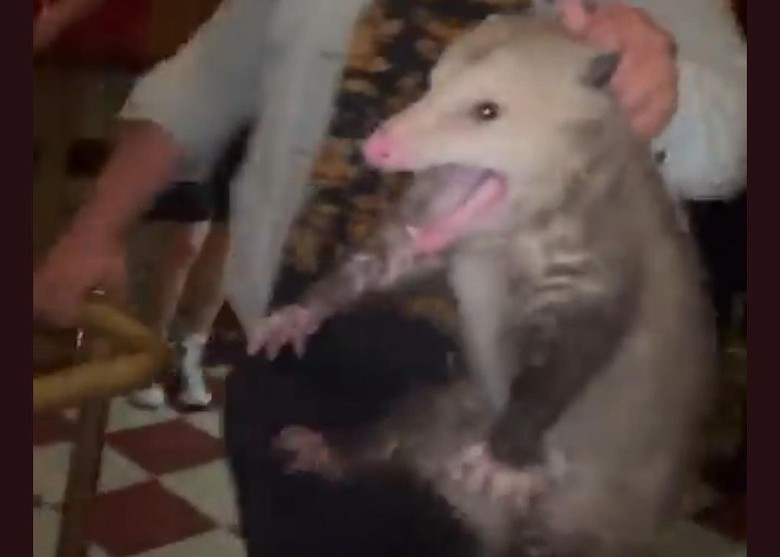 ����ŦԼ�оưɳ��־޴��� Ů��ͽ���Ʒ�������