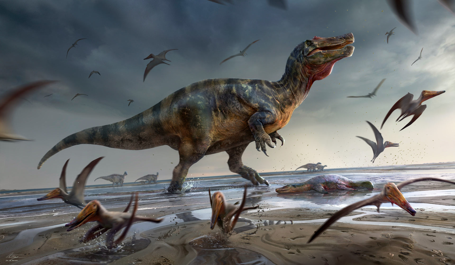 “欧洲最大的陆地食肉动物”：1.25 亿年前巨大的“鳄鱼脸”恐龙被发现