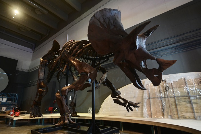香港科学馆将于7月8日起举行大型恐龙展览“八大·寻龙记”