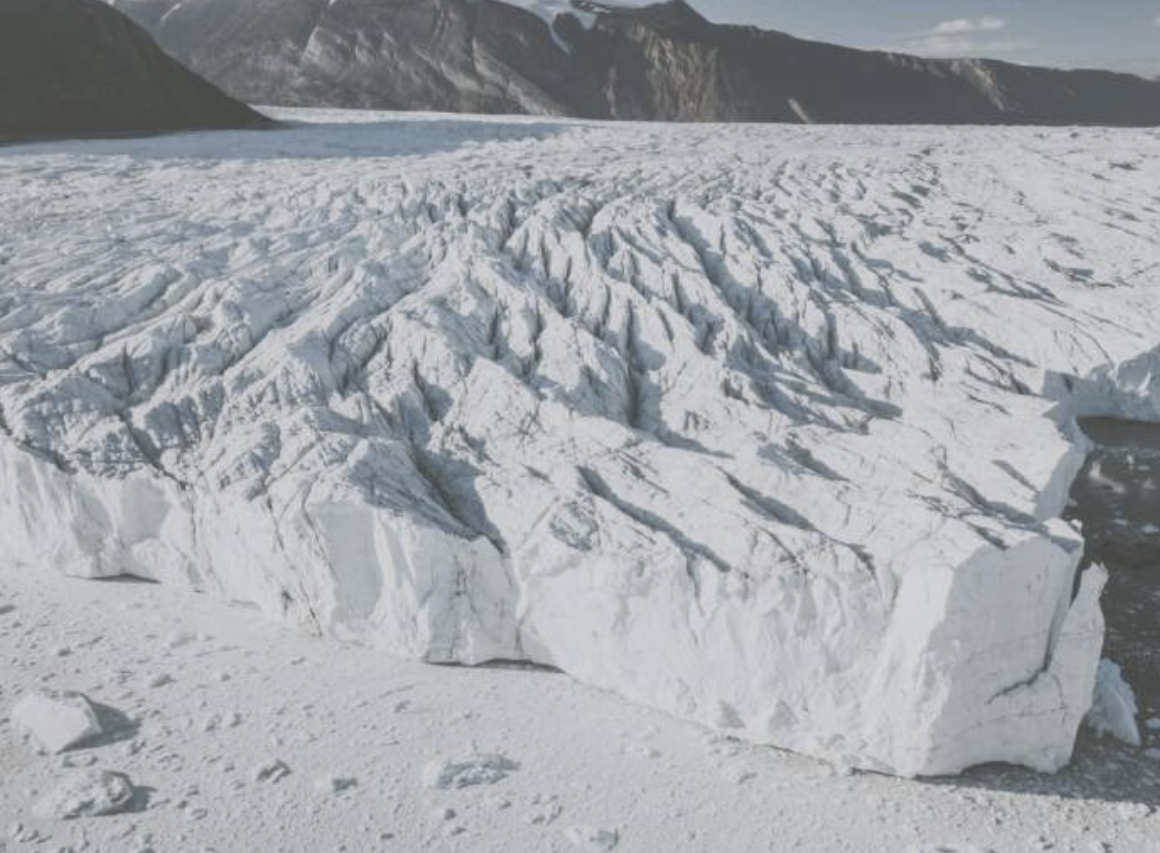 《暮光》结束篇请正牌牧师 人鬼婚场面逼真