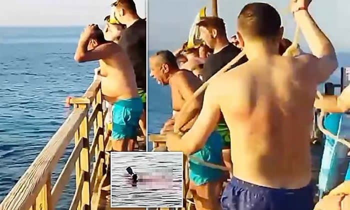 奥地利老妇在埃及红海遭鲨鱼啃断手脚后仍奋力往岸上游 不幸身亡