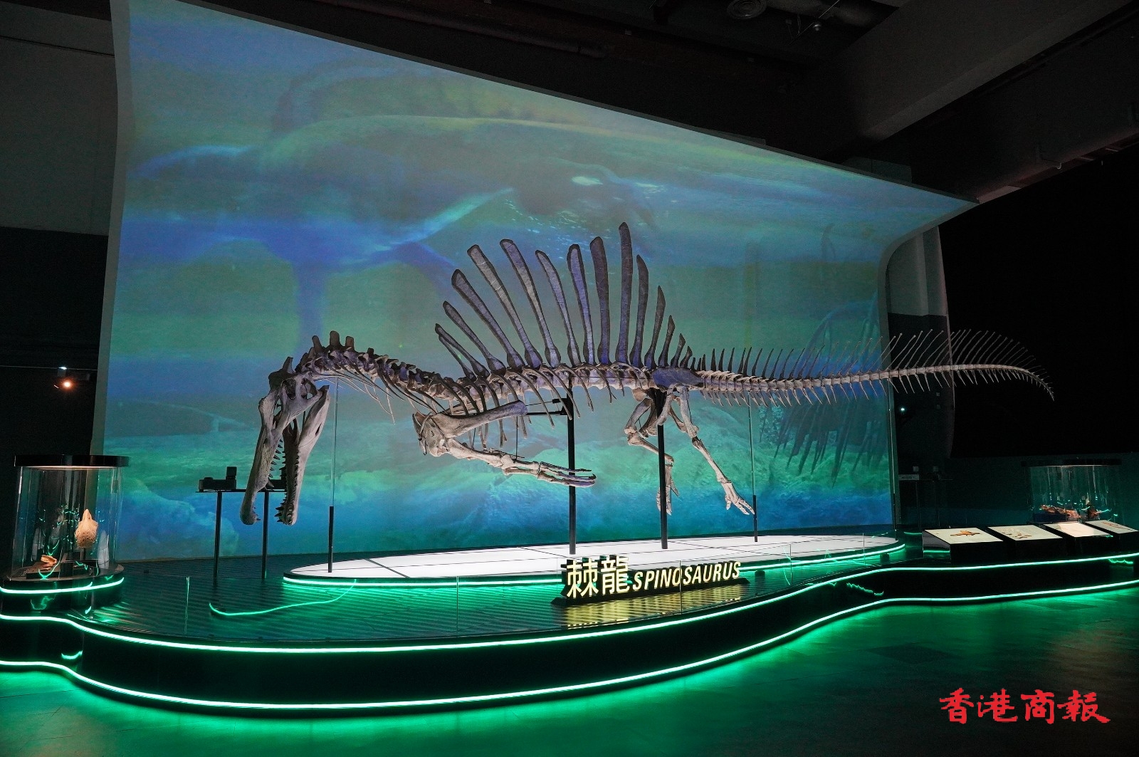 香港科学馆7月8日起举行大型恐龙展览