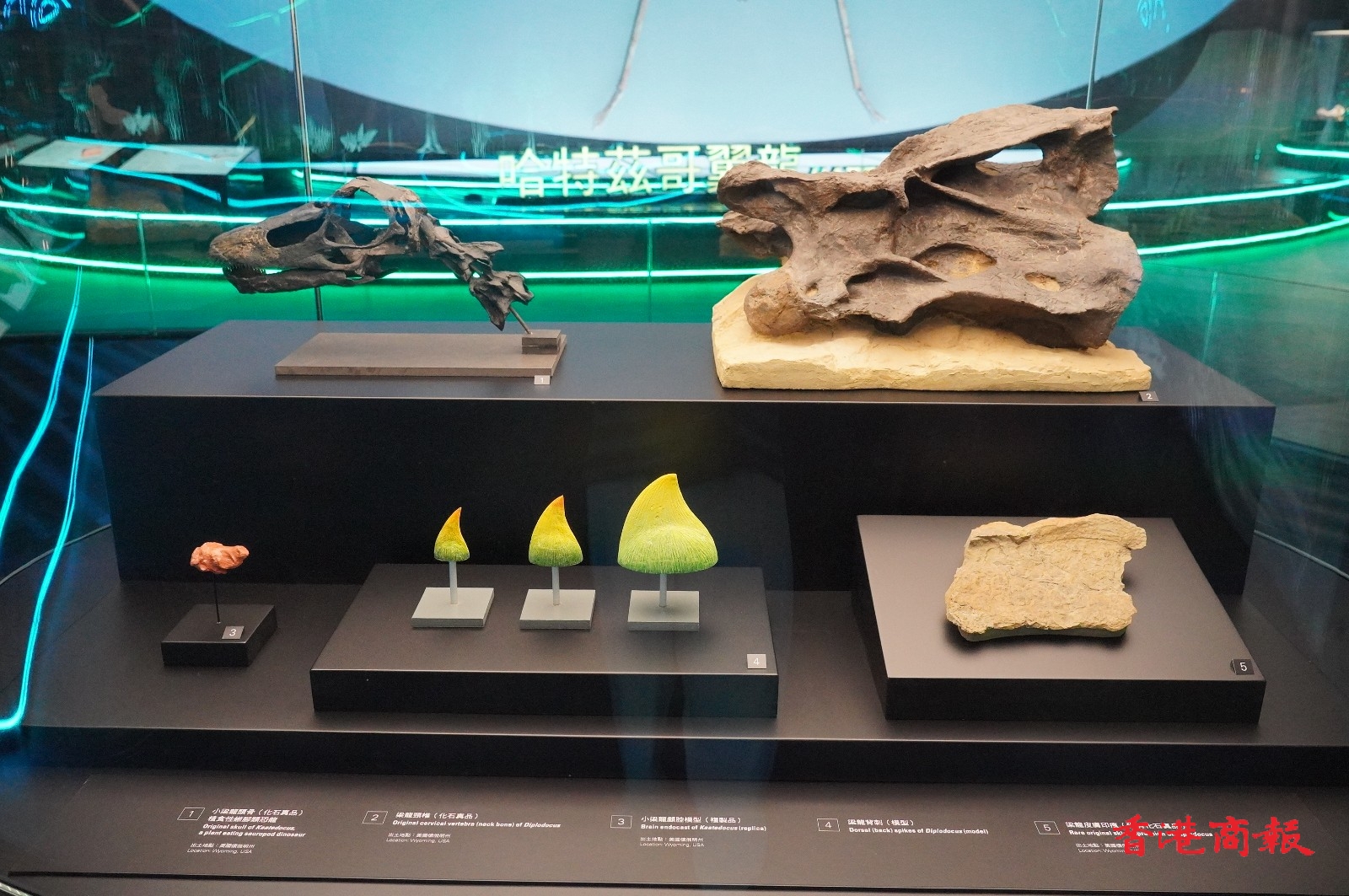 香港科学馆7月8日起举行大型恐龙展览