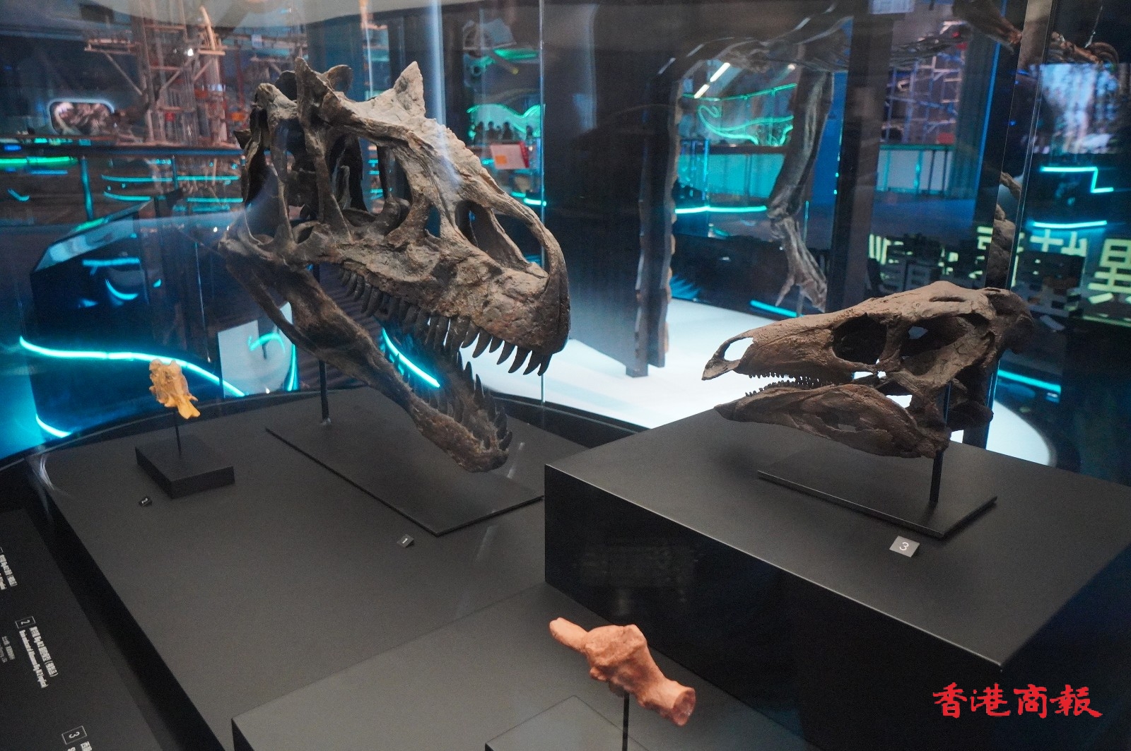 香港科学馆7月8日起举行大型恐龙展览