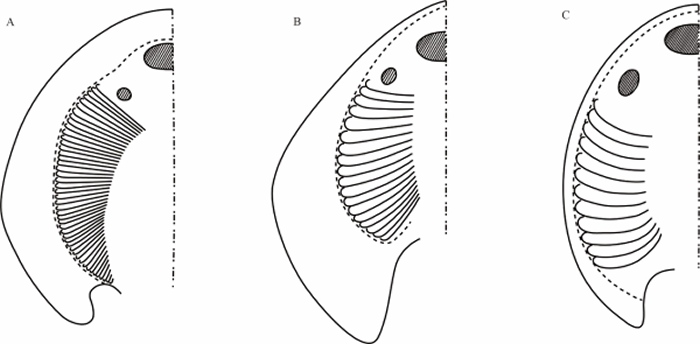 ϳ״η3.9ǰࡪ