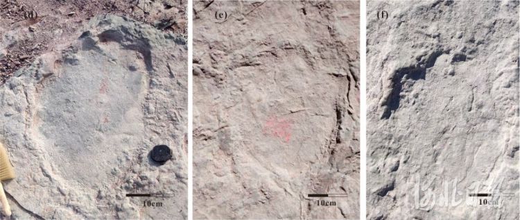 追寻燕赵大地上的“龙迹” 张家口宣化发现国内单点面积最大数量最多的恐龙足迹化石