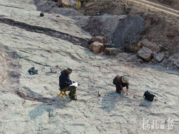 追寻燕赵大地上的“龙迹” 张家口宣化发现国内单点面积最大数量最多的恐龙足迹化石